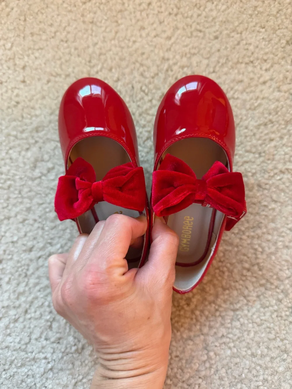 Gymboree never worn